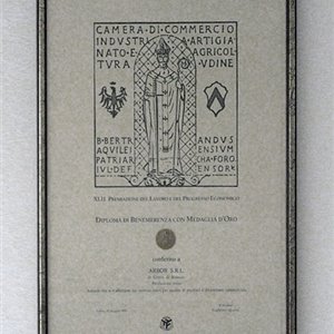 Diploma di benemerenza con Medaglia d’oro della Camera di commercio di Udine