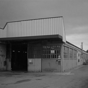 1961