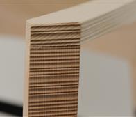 Photogallery picture